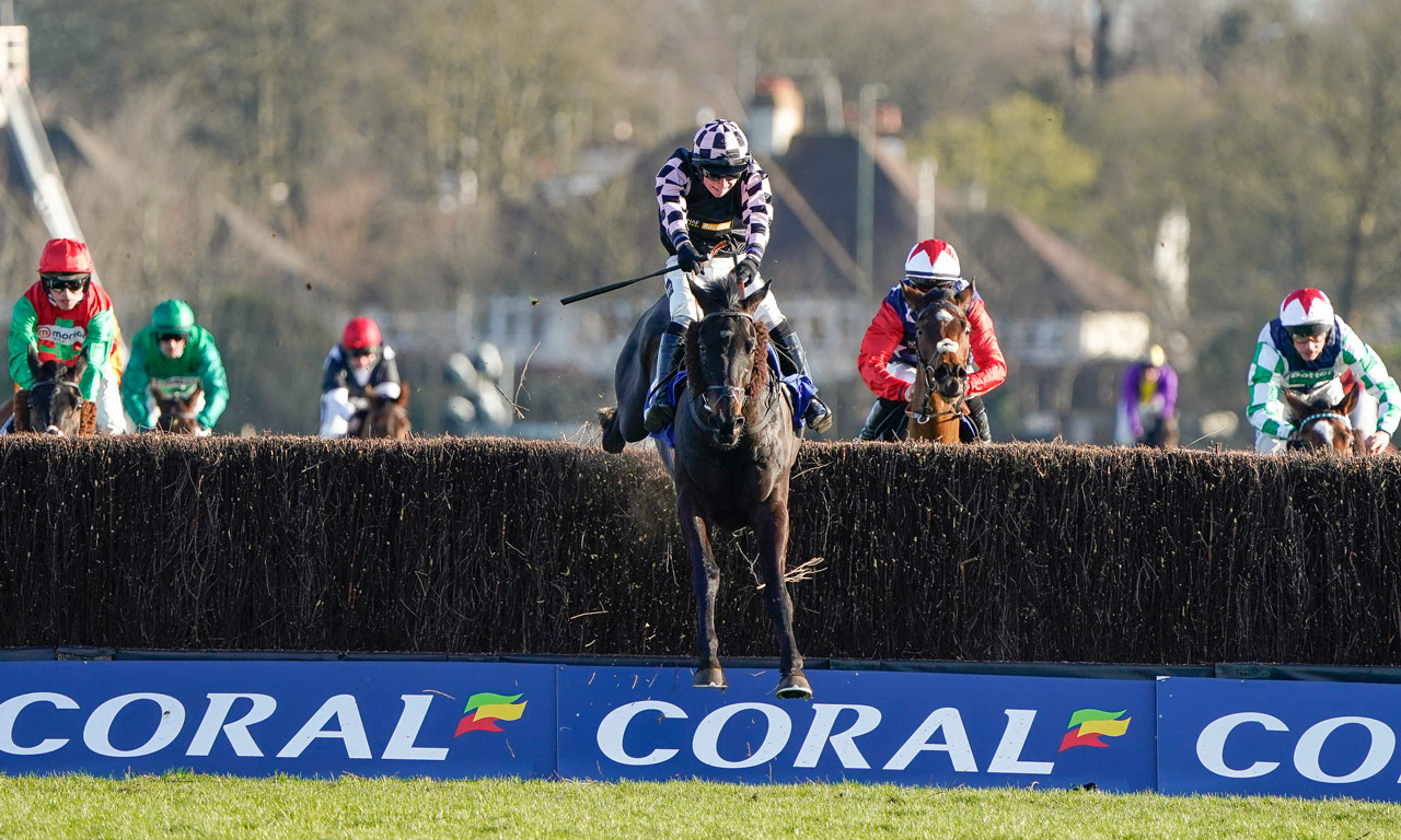 Overview of Coral bet betting company, website, registration and gaming